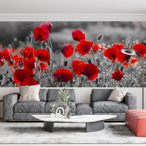  Red Flowers Field Wallpaper