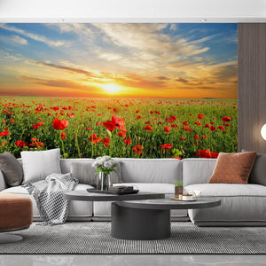  Field with Red Poppies Wallpaper