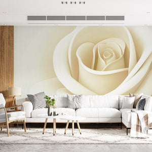  White Rose Flower Wallpaper