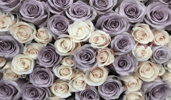 Flower Wallpaper, Non Woven, Pale Purple & White Rose Flowers Wallpaper, Floral Wall Mural