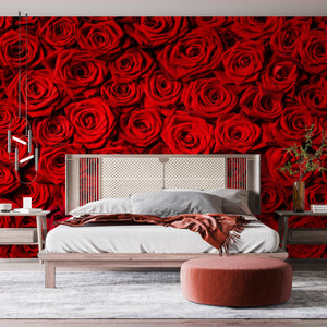  Fire Red Rose Flowers Wallpaper