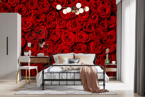 Flower Wallpaper, Non Woven, Fire Red Rose Flowers Wallpaper, Floral Wall Mural