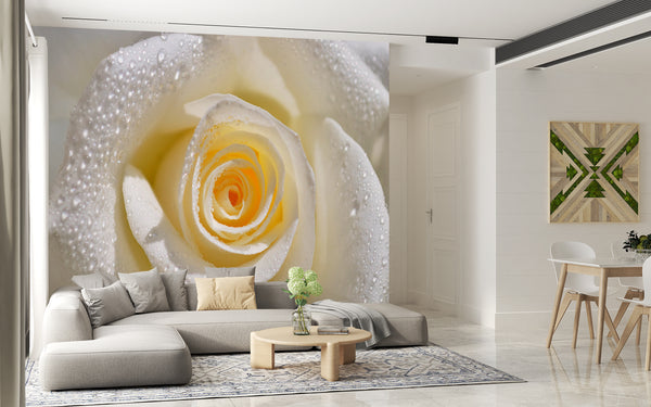 Flower Wallpaper, Non Woven, Cream Rose Wallpaper, Raindrops Wall Mural