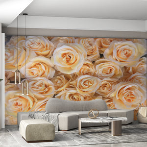  Orange Rose Flowers Bouquet Mural