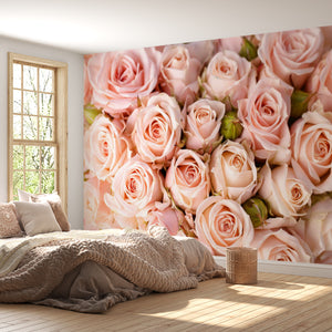  Pink Rose Flowers Wallpaper