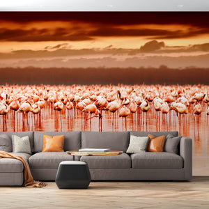 Pink Flamingo Birds | Ocean Wallpaper Mural