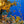 Seascape Wallpaper Mural, Reef Sea, Underwater life Wallpaper, Non Woven, Colorful Fishes Wall Mural