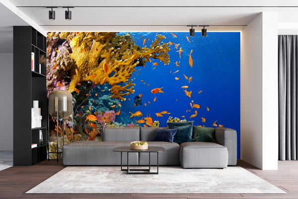 Reef Sea - Underwater life Wallpaper | Ocean & Sea Wallpaper