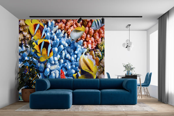 Seascape Wallpaper Mural, Colorful Fishes, Coral Reef Wallpaper, Non Woven, Nature Wall Mural