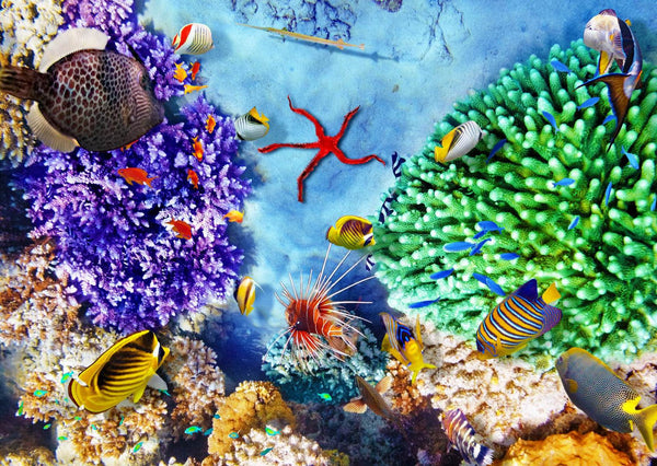 Sea Wallpaper Mural, Colorful Fishes & Coral Reef Wallpaper, Non Woven, Underwater Sealife Wall Mural
