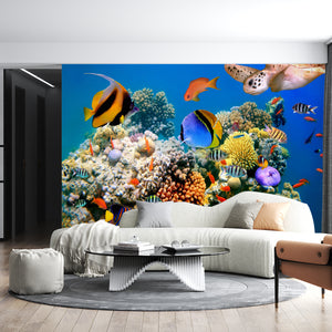 Underwater Sealife — Colorful Fishes Wallpaper | Sea Wall Mural