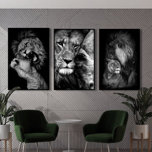  Set of 3 Prints - Black & White Lions Triptych
