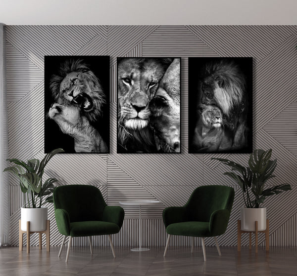 Black & White Lions Triptych, Set of 3 Prints
