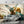 Wallpaper Transportation | Vintage Airplane Propeller Wall Mural