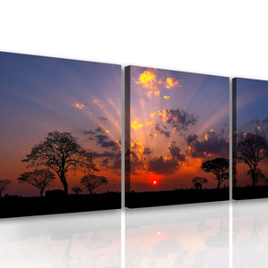 Canvas Multi Panel Wall Art  -  Fascinating sunset