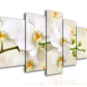 Multi Canvas Prints  - White orchid on a beige background.