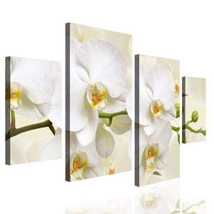Multi Canvas Art  -  White orchid on a beige background.
