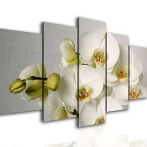 Split Canvas Wall Art  - White orchid on a gray background.