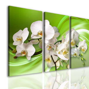 Canvas Multi Panel Wall Art  -  White orchid on a green background