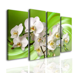 Multi Picture Canvas  -  White orchid on a green background