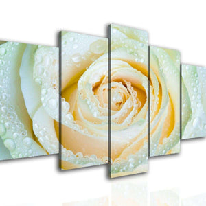 Multi Picture Canvas  - White rose.