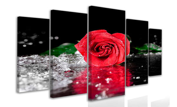 Multi Canvas Prints  - Red rose in water drops