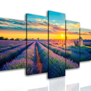 Multi Panel Wall Art  - Lavender field.