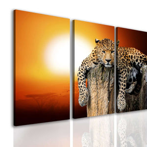Multi Pic Canvas  -  Leopard at sunset