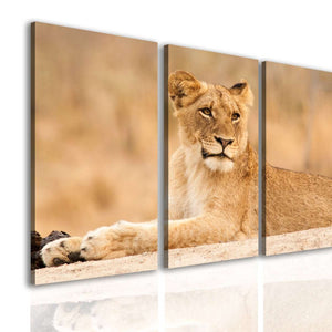 Canvas Multi Panel Wall Art  -  Lioness on the Savannah background