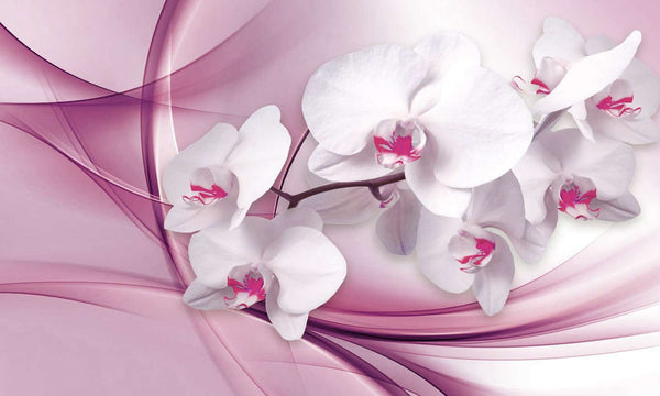 Modular picture, Orchid on a burgundy background