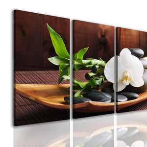 Multi Canvas Wall Art  -  Orchids on a plate