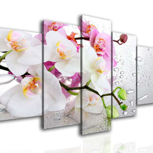 Multi Picture Canvas  - Pink and white orchids.