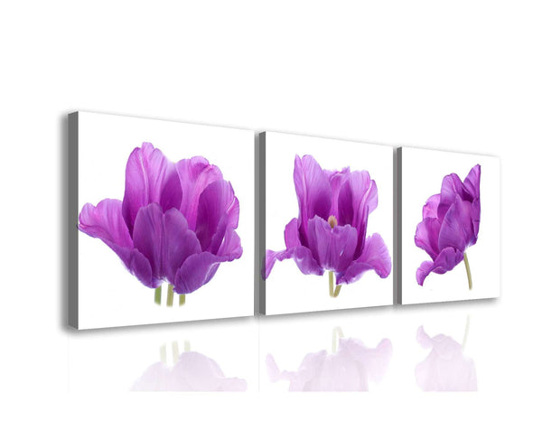 Multi Picture Canvas  -  Three lilac flowers
