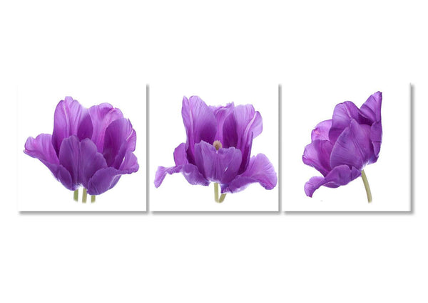 Modular picture, Three lilac flowers