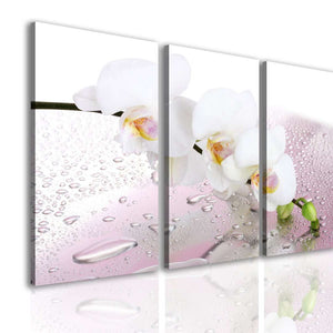 Multi Piece Wall Art  -  White orchid flower