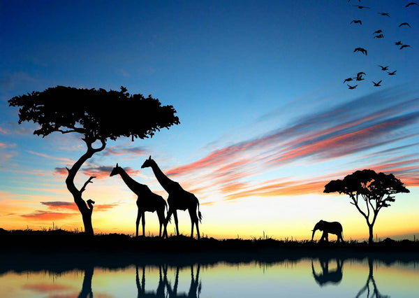 Wallpaper Mural, African Sunset Wallpaper, Wildlife Silhouette Wall Mural