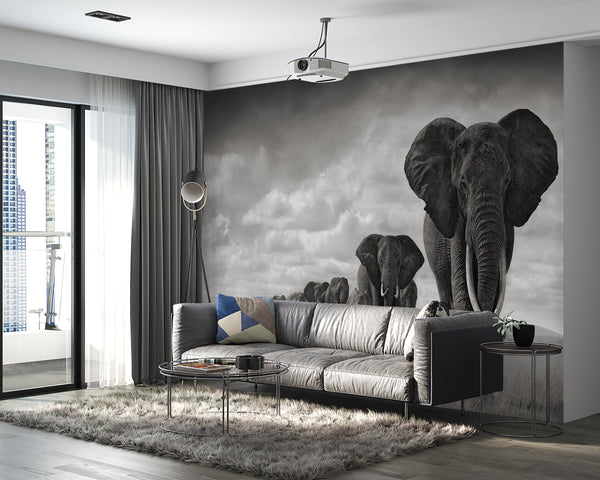 Wallpaper Mural, Elephant Animals Wallpaper, Black & White African Wildlife Wall Mural