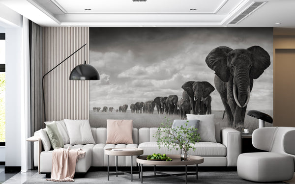  Elephant Animals  Black & White Wallpaper