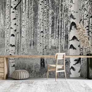 Black and White Forest Wallpaper Mural 