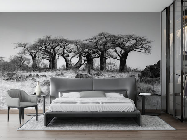 Black & White Wallpaper - African Landscape, Black & White Wallpaper, Non Woven, Baobab Trees Wallpaper, African Landscape Wall Mural