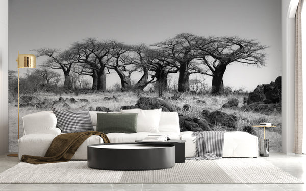 Black & White Wallpaper - African Landscape, Baobab Trees 