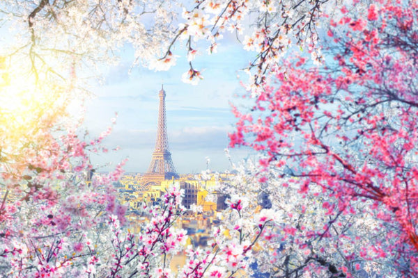 Cityscape Wall Mural, City Wallpaper, Non Woven, Paris City In The Springtime Wallpaper, Pink Flowers Wall Mural