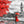 Countries Wallpaper, City Wallpaper, Non Woven, Black & White London city Wallpaper, Red Umbrella and Leaves Wall Mural