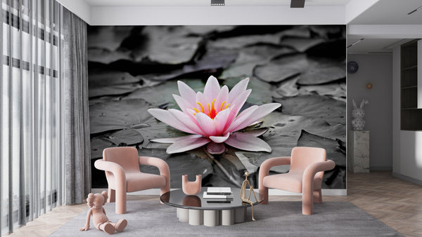  Pink Lotus Flower Wallpaper