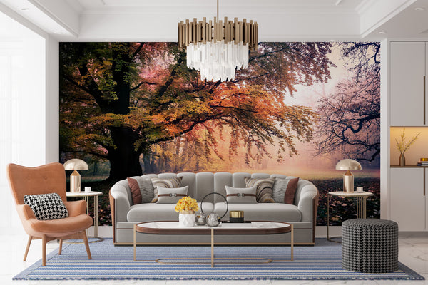 Nature Wallpaper, Non Woven, Autumn Park View Wallpaper, Colorful Trees Wall Mural