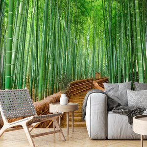  Japan Bamboo Forest Wallpaper