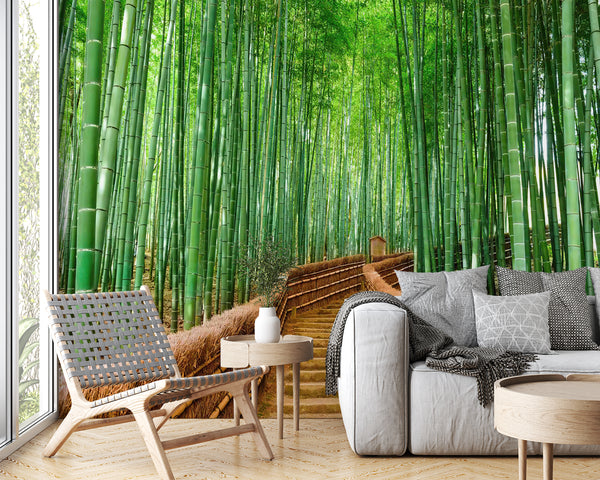  Japan Bamboo Forest Wallpaper