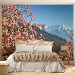  Sakura Flowers Wallpaper