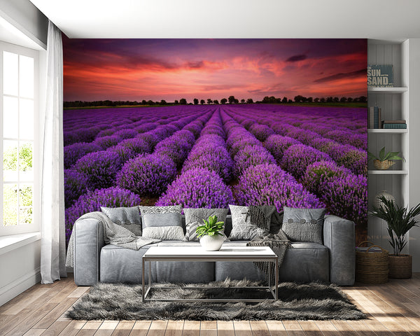  Lavender Fields Wallpaper