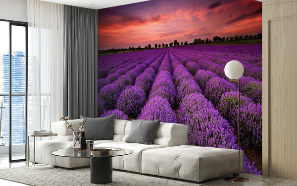 Nature Wallpaper, Non Woven, Lavender Fields Wallpaper, Purple Blooming Flowers Wall Mural